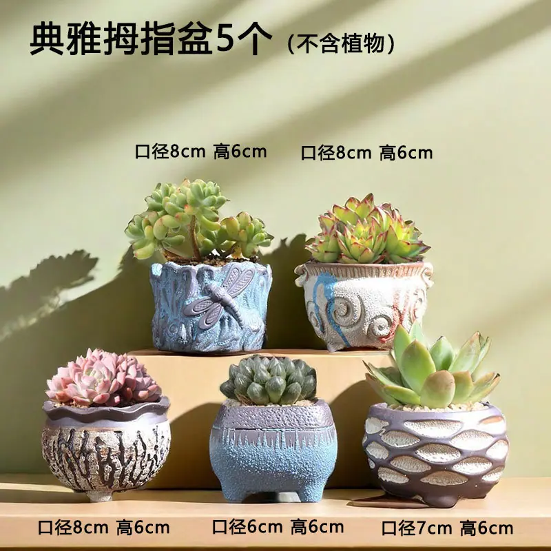 T-092典雅拇指盆5个