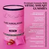 Gomitas de Shilajit Más Vendidas de Amazon Suplemento Transfronterizo con Minerales y Ácido Fúlvico 60 Cápsulas