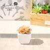 Mini bonsái suculento con flores, planta decorativa creativa, suministro directo de fábrica, AliExpress, hogar, generación de cabello, planta verde.