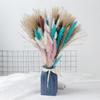Amazon Capim Pampas Capim Rabo de Coelho Junco Pequeno Decoração de Casa Misture e Combine Flores Secas Transfronteiriças Buquê Flores Reais