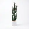 Cacto Artificial Pequeno para Paisagismo, Decoração de Paisagem Interna de Canto de Parede, Ornamento de Planta Verde Biomimético Tropical Falso