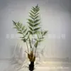 Estilo nórdico mono dorado biónico Helecho Planta verde viral cabeza de mono Helecho en maceta árbol falso pelo dorado perro Helecho adornos para sala de estar interior