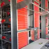 Fabricantes Producen Equipo para Pollos Jaula para Pollos Granja de Pollos Proyecto EPC