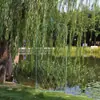 Suporte para planta trepadeira clematis estilo americano, tela de grade de ferro, suporte para flores de rosa, decoração de jardim externa estilo europeu