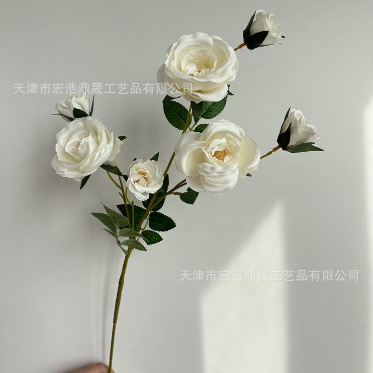 微信图片_2023030918222311_副本