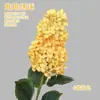 Hortênsia Branca e Verde Jacinto Grande Buquê de Hortênsias Arranjo de Flores para Casamento em Jardim Externo Casamento Coreano Retro Flores de Haste Alta