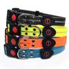 Collar luminoso para perro recargable por USB collar de cinta luminosa LED collar para perro collar luminoso para mascota