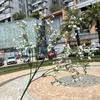 2023 Flores de Casamento Brancas Coreanas Pequenas Estilo Fresco Atacado Decoração Suave Decoração de Salão de Casamento Flores Artificiais Recomendado