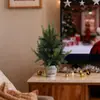 Artículos Populares Transfronterizos: Agujas de Pino Artificiales y Hojas de Ciprés, Plantas en Maceta de Mini Árbol de Navidad, Plantas en Maceta de Cedro, Artículos de Decoración para el Hogar y Comerciales