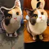 2026 Modelo Nuevo Almohada de Peluche Divertida con Forma de Animal y Patrón de Impresión Digital, Almohada Casera Casual y Cómoda