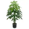 Planta Artificial Verde Árbol del Dinero Paisajismo de Jardín Flor Artificial Sala de Estar Hotel Hogar Restaurante Hoja de Dinero Planta en Maceta Transfronteriza Temu