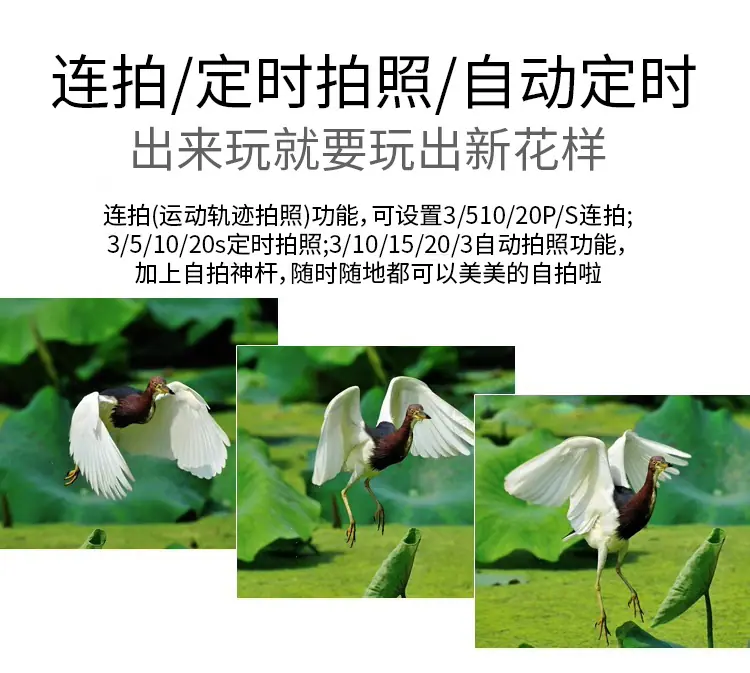 详情图片_4