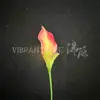 Flor Artificial Lirio de Calas Doble Pétalo de Gama Alta Tallo Único Lirio de Calas Decoración de Boda Hotel Flor Falsa Ramo de Novia Comercio Exterior Mayorista