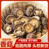 Nueva Llegada de Hongos Secos Gutian, Carne Gruesa, Hongos Frescos sin Raíz, Venta al por Mayor de Hongos Secos, Hongos Secos para Ingredientes de Sopa