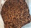 Nova chegada de raiz de dente-de-leão a granel chá de raiz de dente-de-leão da montanha Changbai 500g chá de raiz de dente-de-leão frito em cubos fornecimento direto da fábrica
