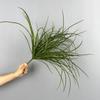 Simulación de Flor de Orquídea y Hierba Planta de Pared de Ajuste Suave Planta Verde Planta en Maceta Decoración Paisajística Hierba Fina Artificial, Hoja de Orquídea, Hierba Acuática, Hierba de Simulación