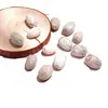 Pacote de Material de Flores Secas Espécime Jardim de Infância Casca de Fruta Caseira Flor Seca Bolota Porta-Retrato Espécime Pinha Porta-Retrato DIY Feito à Mão