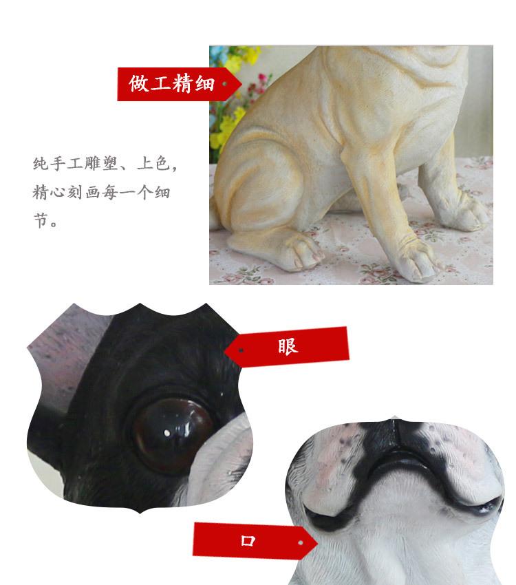 法国斗牛犬_19.jpg