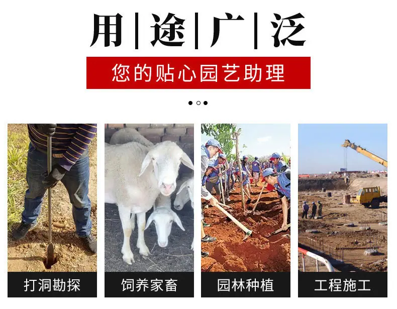 详情_03.jpg