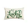 Calle irlandesa transfronteriza. Funda de almohada de lino con estampado de trébol del Día de San Patricio funda de almohada de césped de la suerte para sofá