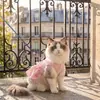 Vestido para perro y gato con cuello de encaje, vestido de princesa con correa, ropa para mascotas de primavera/verano para perros pequeños y medianos