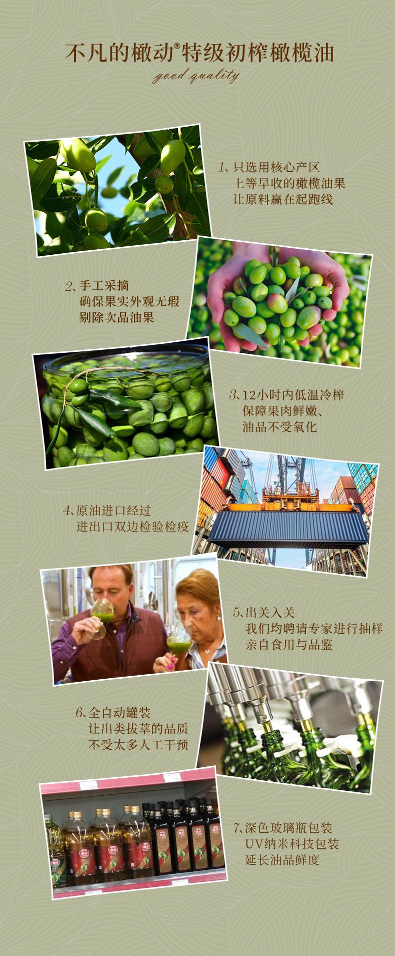 特橄1_04