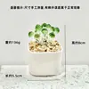 Adornos de Escritorio Hechos a Mano de Flor de Jacinto Suculento Esmaltado Decoración de Maceta de Planta Artificial de Vidrio Micro Paisaje Creativo