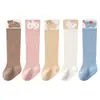 Calcetines largos para bebé, nuevo modelo de otoño e invierno, hechos de algodón de fibra larga, hasta la rodilla, no apretados, holgados, calcetines de tubo alto para el suelo, calcetines para bebé Clase A