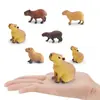 Set de 6 Figuras de Capibara Figuras Realistas de PVC de Capibaras en Diferentes Posturas Juguetes Educativos de Animales para Niños Decoraciones de Vida Silvestre para Edades 3