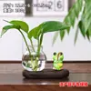 Gatito pescando, panda, rana, gato siamés, planta pothos, jarrón hidropónico, adorno de escritorio, decoración de escritorio de oficina