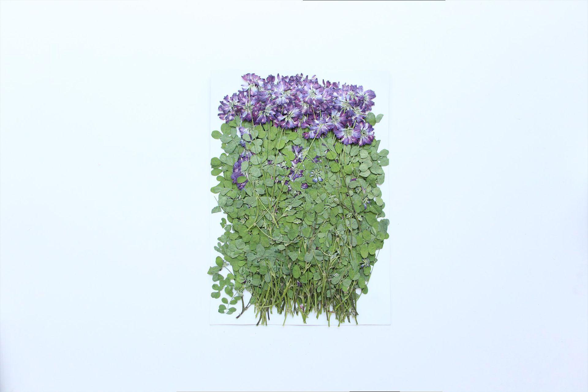 IMG_9908.png