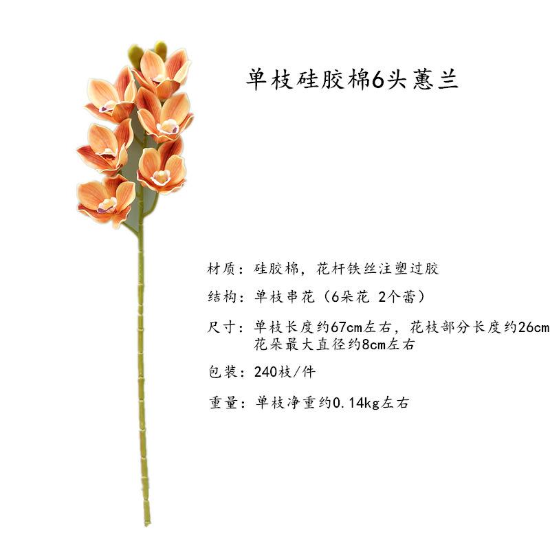 DSC06099_副本.png