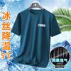 Camiseta de manga curta de secagem rápida de seda gelada de cor sólida de verão para meninos, camiseta casual simples de malha solta, gola redonda, camiseta cinza