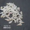 Abalorios para Uñas con Forma de Estrella de Mar y Concha Aurora Serie Océano Concha Resina Accesorios para Uñas DIY Decoración de Uñas Portátil