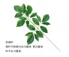 Caparazón de tortuga simulado de una sola pieza, cola escasa, hoja verde, hoja artificial única, decoración de jardín de infantes, decoración de boda, hoja de plástico