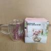Taza Creativa Transfronteriza de Vidrio de Borosilicato Alto con Flores Secas Nueva Simple Aislada de Doble Capa para el Hogar Taza de Alto Valor Venta al por Mayor