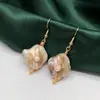Tiktok Xiaohongshu Mismo Estilo Aretes de Concha Natural Perla de Agua Dulce Envueltos en Alambre Pendientes de Mujer de Gama Alta Venta al por Mayor de Fábrica