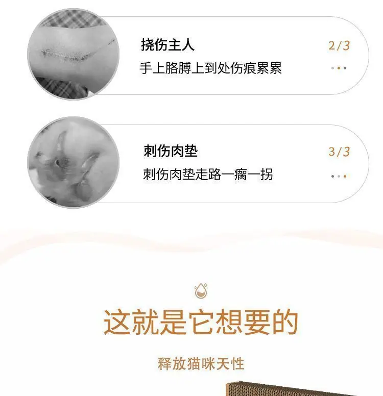 69907041-db5d-42a1-8f4e-cb7134cd4bfe.jpe