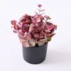 Flores Artificiais Transfronteiriças, Rosas de Vasos Vintage, Bonsai de Camomila, Enfeites de Mesa da Amazon, Adereços de Decoração com Flores Artificiais