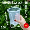 Novo Vaso Específico para Orquídea Phalaenopsis Coluna de Ar Vaso Transparente para Plantas Rattan Verde Controle de Raiz Plástico Vaso para Flores Varanda