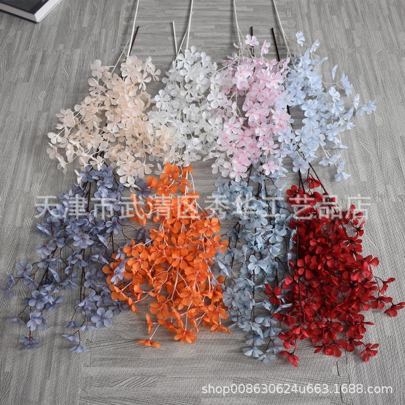 苹果花1