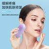 Nueva Aplicación Facial Transfronteriza Helado Facial Disco de Hielo Limpiador Compresa de Hielo Facial Masajeador Limpiador Rodillo de Hielo Cápsula