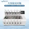 Generador de Gas de Acidificación por Sulfuro para Calidad del Agua, Generador de Gas de Sulfuro Totalmente Automático, Generador de Gas de Acidificación por Sulfuro para Muestras de Agua