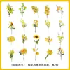 Pegatinas de PET de plantas y flores para journaling, materiales decorativos para escenarios hechos a mano DIY, pegatinas de journaling transparentes autoadhesivas