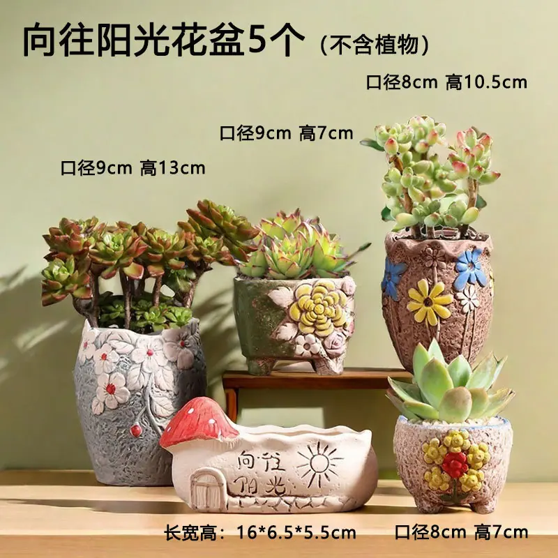 T-053向往阳光5个