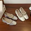 Zapatos Mary Jane Plateados de Tacón Grueso y Punta Cuadrada para Mujer, Nuevo Verano 2026 Versátiles Suaves Estilo de Noche Zapatos Bajos de Piel
