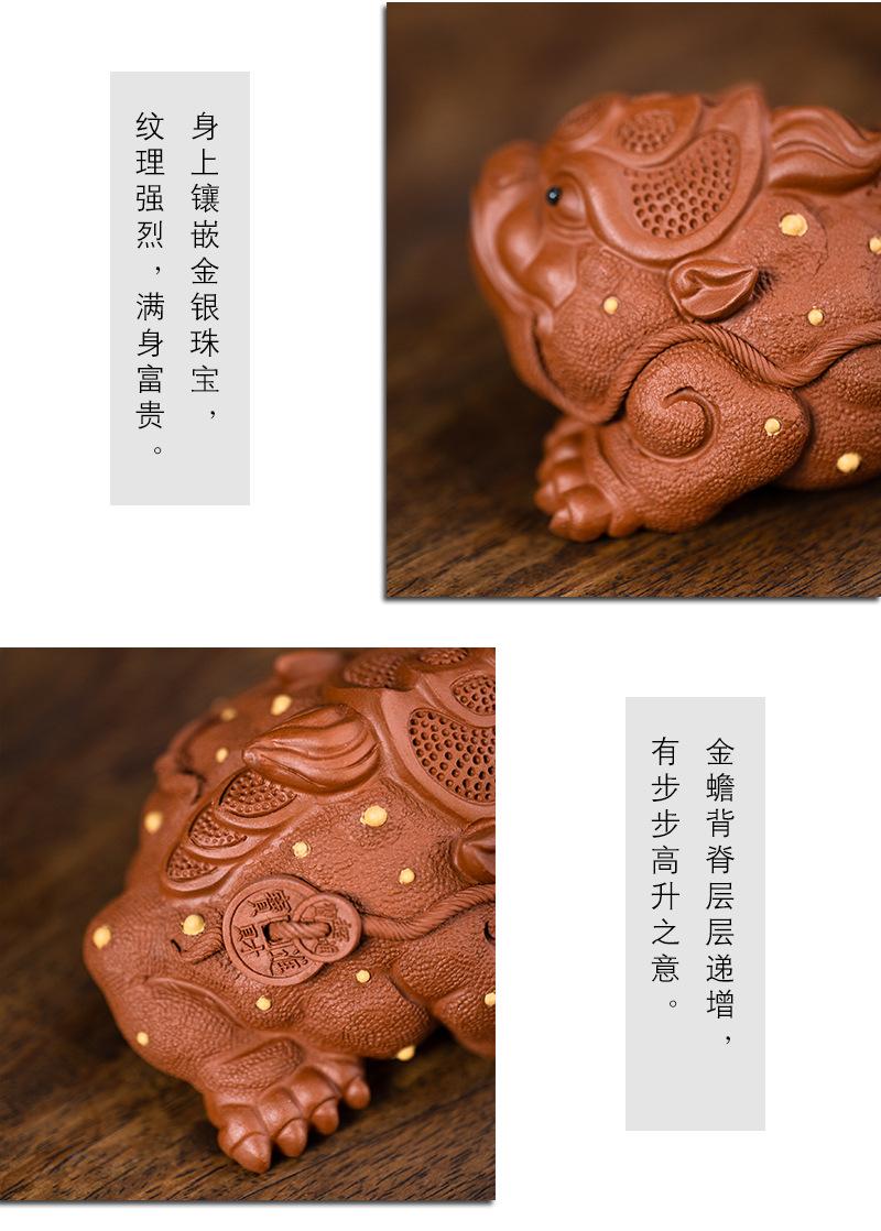 通宝金蟾20211116 (28).jpg