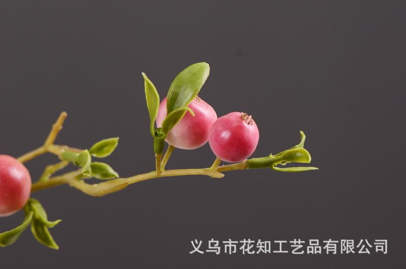 3-9粉色安迪小白果.jpg