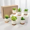 Línea Mini de Empaque para Pedidos por Correo Exportación Rayas Quemadas Lisas Maceta Pequeña de Porcelana Blanca Flor Carnosa con Base de Bambú