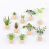 Amazon Planta Artificial Suculenta Imán de Corcho Imán de Refrigerador Decoración del Hogar Estilo Pastoral Suculenta Creativa Atracción Magnética
